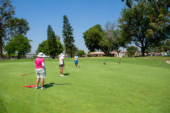 Lakewood Womens Championship-21