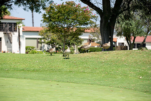 Lakewood Womens Championship-22