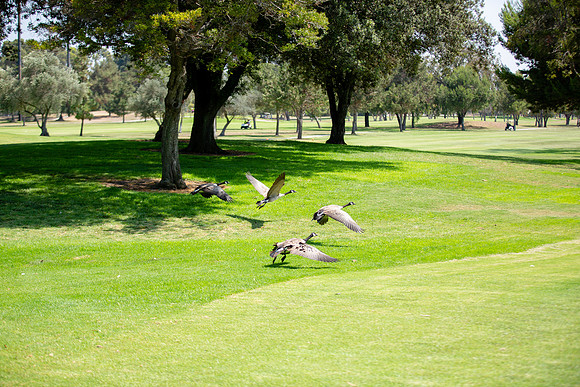 Lakewood Womens Championship-27