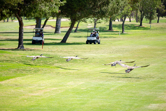 Lakewood Womens Championship-28