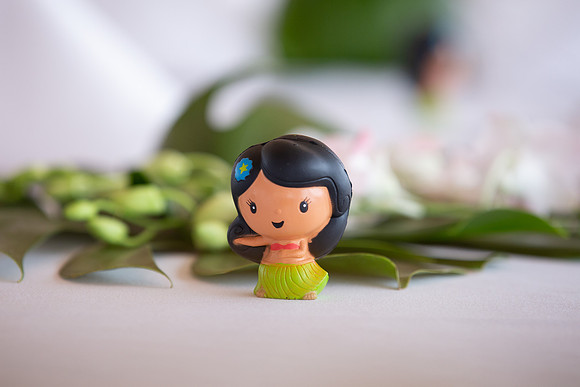 Photo-10