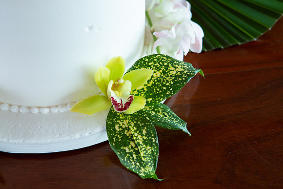 Photo-18