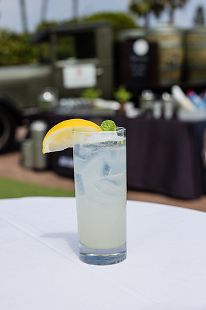 Hotel del Coronado Photographer-119