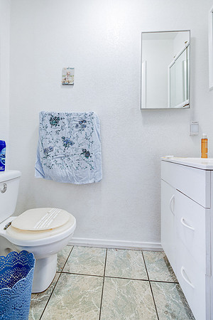 535 W Olive St Inglewood-033