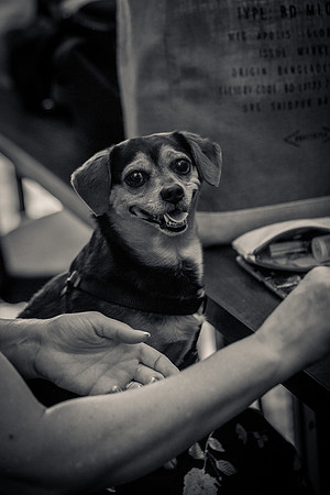 David England Photography-42