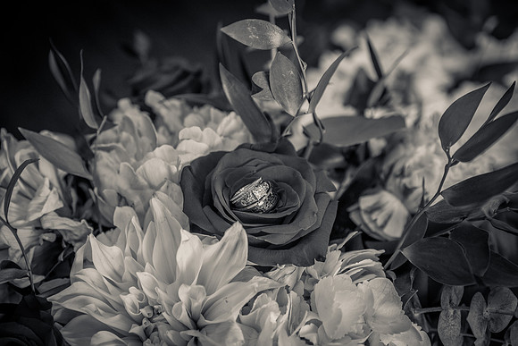 David England Photography-26