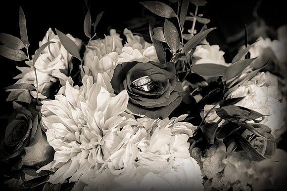 David England Photography-23