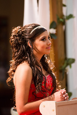 Jennelyne's Quinceañera-45
