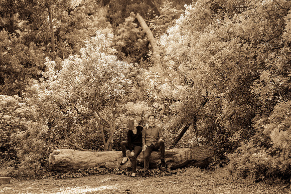 Engagement Photos South Coast Botanic Garden-133