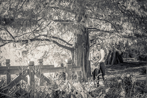 Fullerton Arboretum Engagement Photos-13