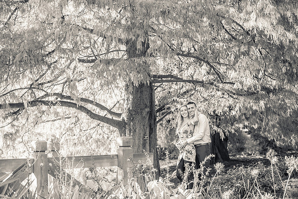 Fullerton Arboretum Engagement Photos-19