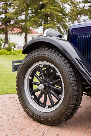 Hotel del Coronado Photographer-043