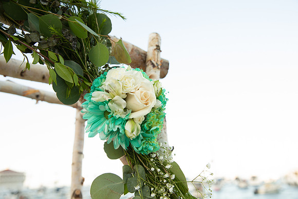 Hotel Metropole Catalina Wedding Photos-25