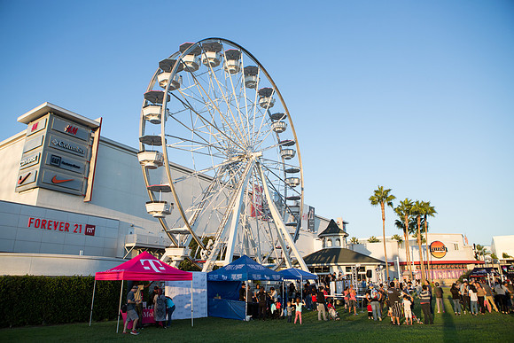 Light The Night Pike Outlets-30