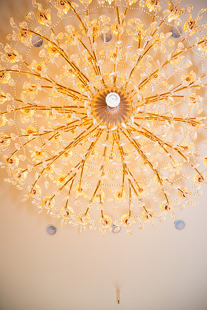 Alexandria Ballroom Wedding Photos-3