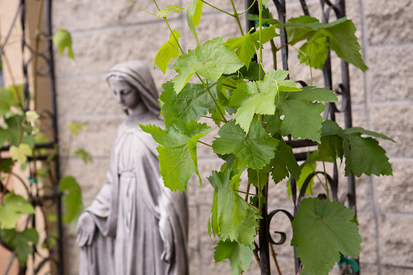 Saint Cyprian Long Beach-6