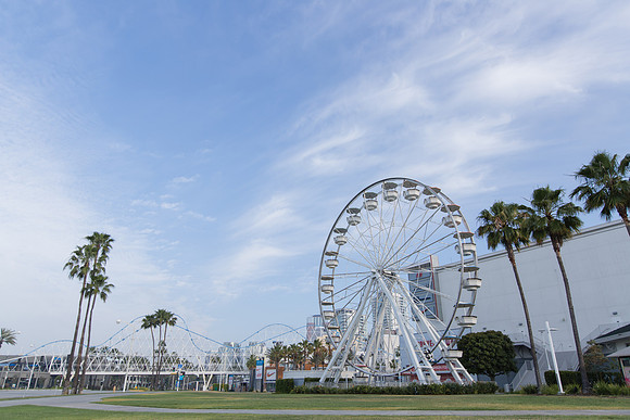 Landscape Photographer Long Beach-109
