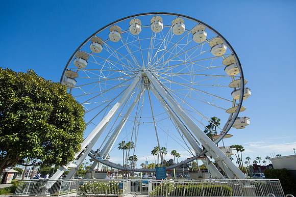Landscape Photographer Long Beach-150