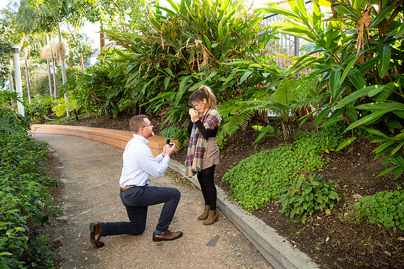 Engagement Proposal Long Beach-4