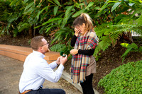 Engagement Proposal Long Beach-5