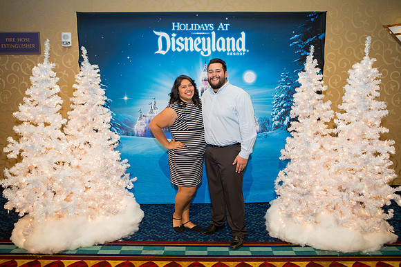 Disneyland Hotel-101