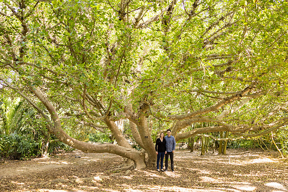 Engagement Photos South Coast Botanic Garden-142
