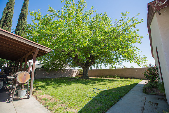 2569 Spruce St-46