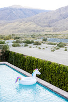 Gay Wedding Photographers Palm Springs Ca-006