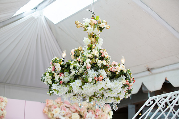 David England Photography-24