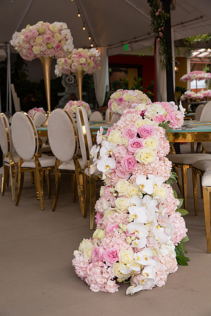 David England Photography-42