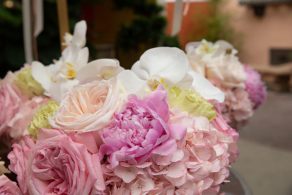 David England Photography-43