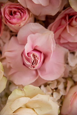 David England Photography-90