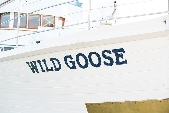 Wild Goose Hornblower-4