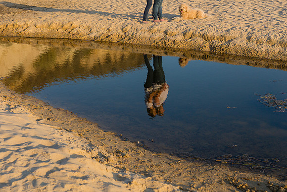 Photographers Laguna Beach-89
