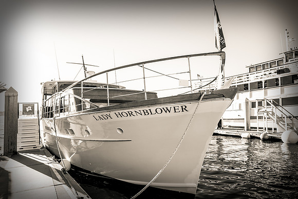 Lady Hornblower-3