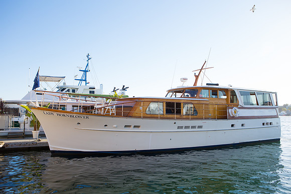 Lady Hornblower-8