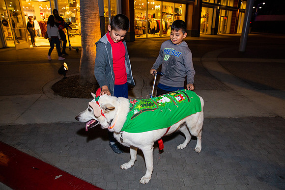 Pike Holiday Kickoff-146
