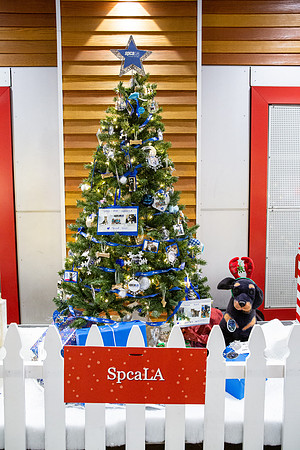 Pike Holiday Kickoff-66
