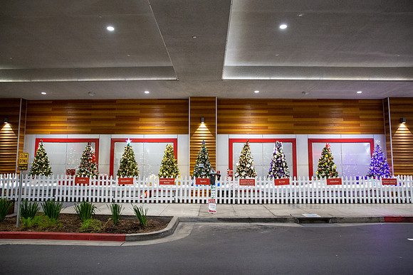 Pike Holiday Kickoff-58