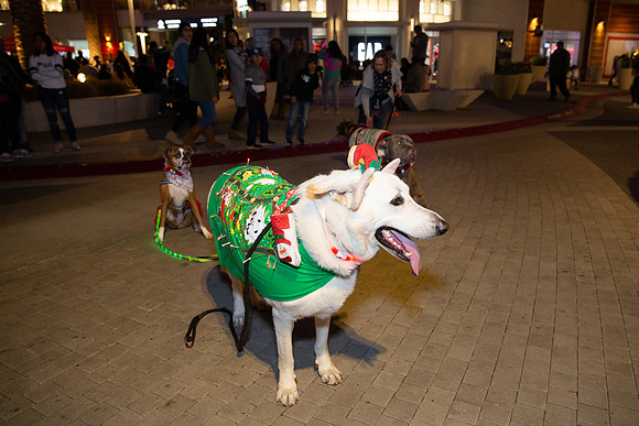 Pike Holiday Kickoff-105