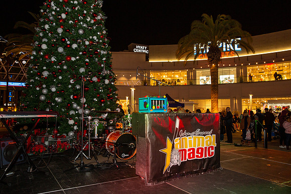 Pike Holiday Kickoff-47