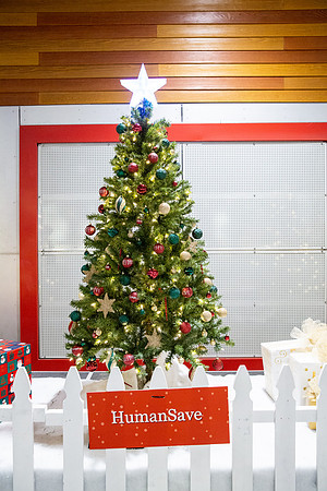 Pike Holiday Kickoff-62