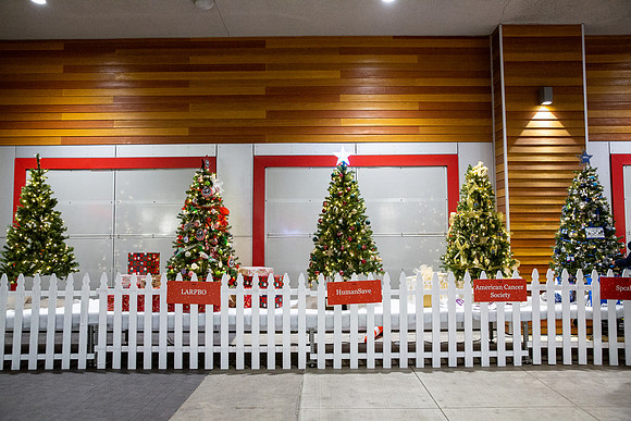 Pike Holiday Kickoff-56