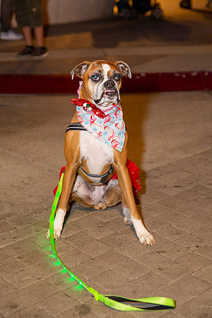 Pike Holiday Kickoff-106
