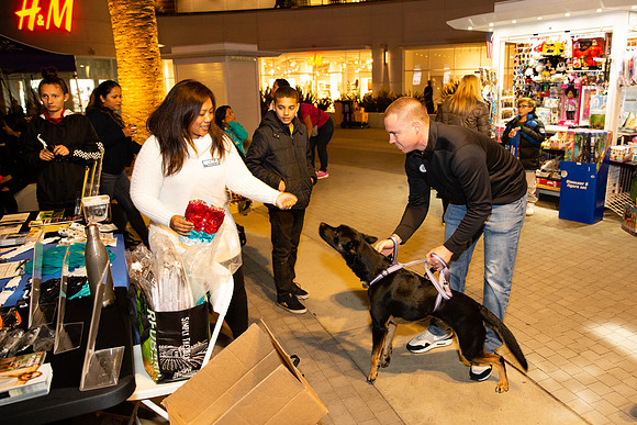 Pike Holiday Kickoff-6