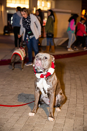 Pike Holiday Kickoff-107