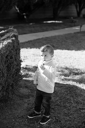 Family Photographer Long Beach-61