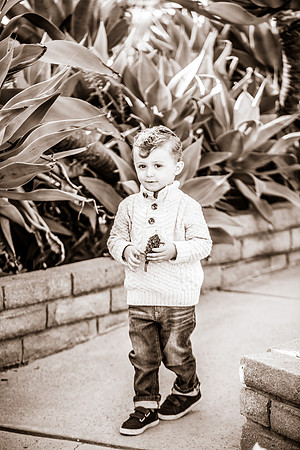 Family Photographer Long Beach-64
