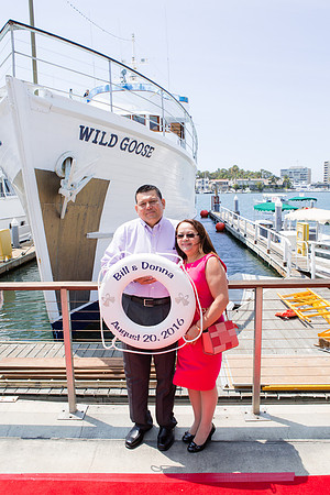 Wild Goose -47