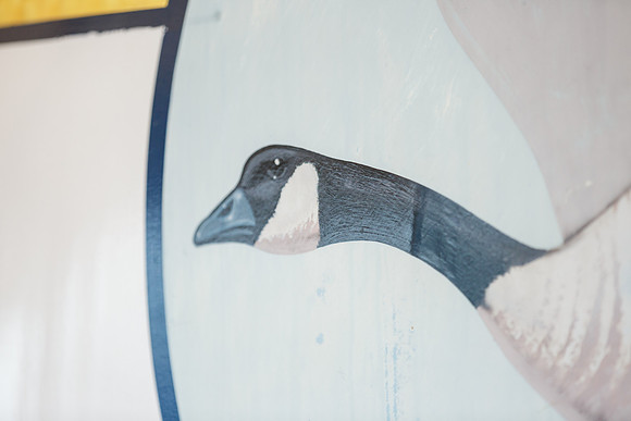 Wild Goose -454